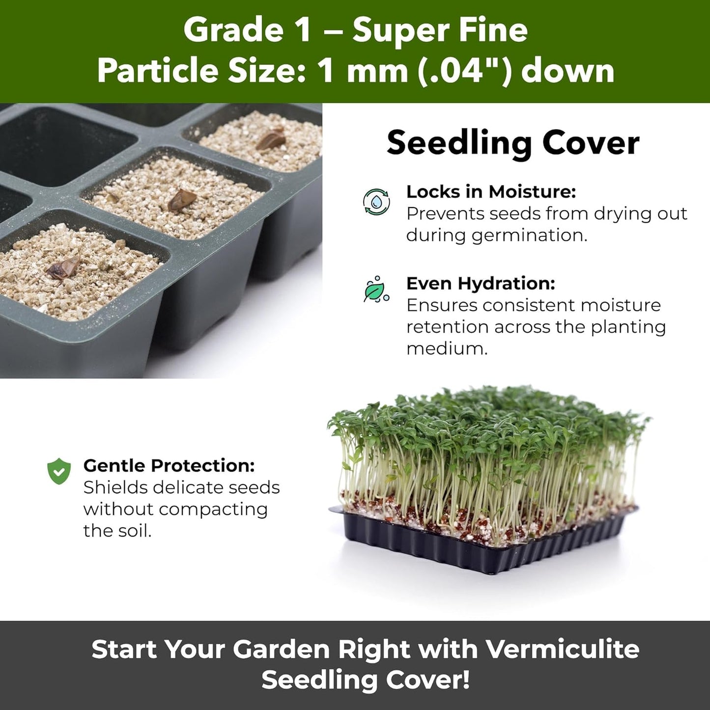 Organic Superfine Vermiculite for Indoor Gardening Plants and Mushrooms – Enhances Soil Aeration, Seed Germination, Rooting Cuttings – Small Packages and Bulk (Vermiculite Grade 1 - Superfine, 1 qt)