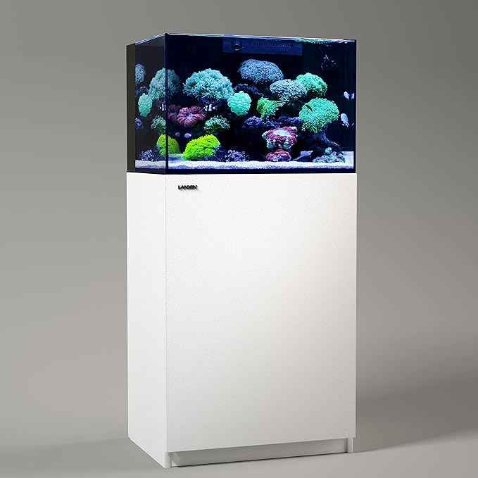 Landen 60P 26.23 Gallon Ultra Clear All Glass Rimless Low Iron Aquarium Tank with Rear Filtration Chamber for Salt and Fresh (Return Pump Included) 23.6Wx17.7Dx15.8H in(60x45x40cm) 8mm Thickness