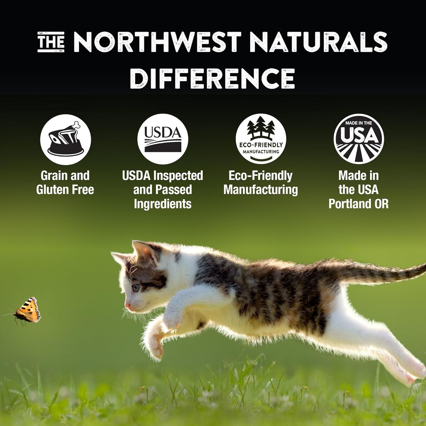 Northwest Naturals Freeze-Dried Whitefish Cat & Kitten Food – Bite-Sized Nibbles, Healthy, Limited, Human-Grade Ingredients, All-Natural, High-Protein Raw Diet, Complete & Balanced, 11 oz (Pack of 3)