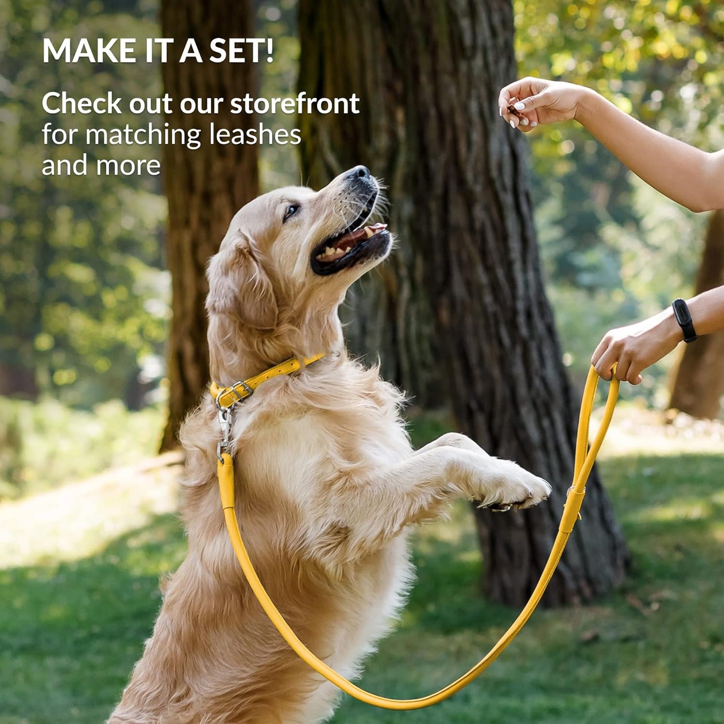 CollarDirect Rolled Leather Dog Collar, Soft Padded Round Puppy Collar, Handmade Genuine Leather Collar Dog Small Large Cat Collars 13 Colors (18-22 Inch, Yellow Smooth)