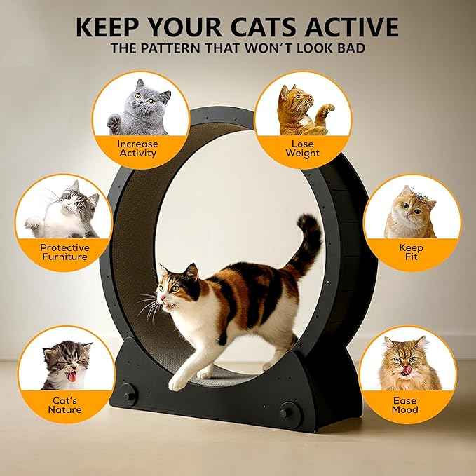 Portable Cat Running Wheel for Indoor Cats 44" Large XL 12" Wide, Cat Treadmill, Wheel with Carpeted Runway for Kitty’s Longer Life, Moveable Safe & Stable Design.