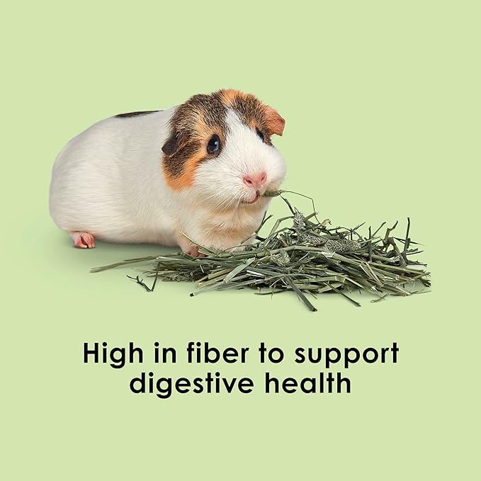 Kaytee Wafer Cut All Natural Timothy Hay for Pet Guinea Pigs, Rabbits & Other Small Animals, 60 Ounce