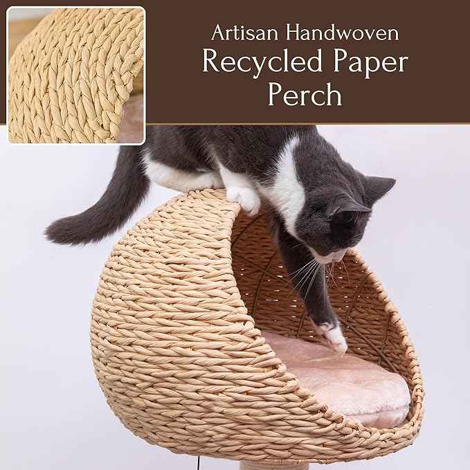 PetPals 2-Level Cat Tree with Handwoven Recycled Paper Rope Baskets, Sisal Scratching Posts, Playful Teaser Toy, Eco-Friendly, Washable Cushion, Cat Furniture (Brown Beige)
