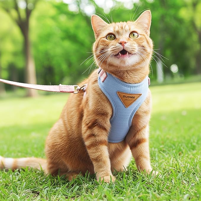 Escape-Proof Cat Harness and Leash Set - Adjustable and Comfortable - Ideal for Walking Cat Outdoors - Fits Small Dogs, Kittens, Medium, and Large Cats (Blue, M)