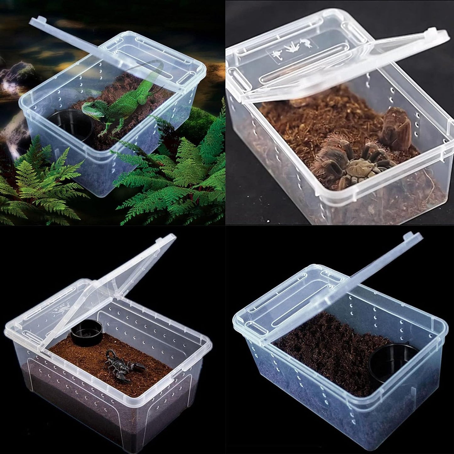 Critter Keeper 2-Pack, Cricket Cage & Reptile Feeding Box 12.59"x8.66"x5.9" Transparent Portable Plastic Snake Habitat Escape-Proof Ventilated Design for Gecko, Tarantula, Scorpion, Spider, Frog - FurryFun