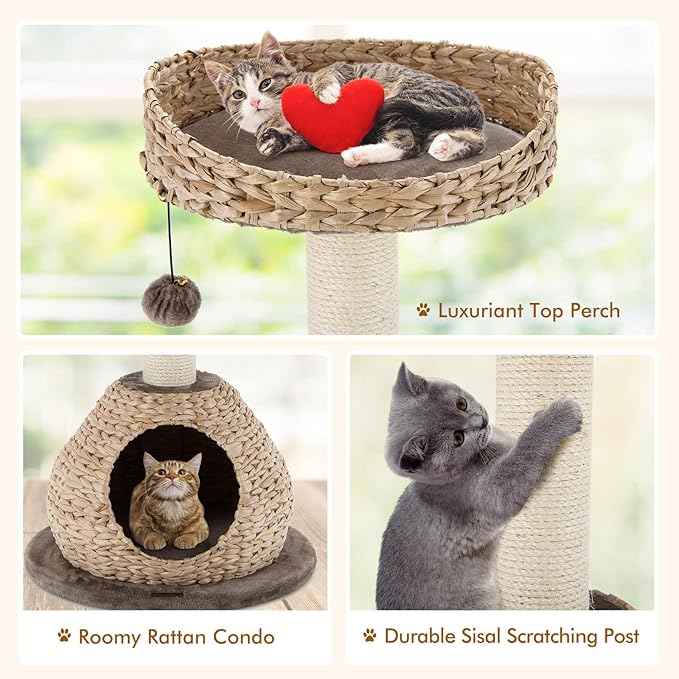 PETSITE Modern Cat Tree Tower, Paper Rope Natural Bowl Shaped with Perch, Scratching Post, Rattan Cat Activity Tree for Kittens, 28" Tall