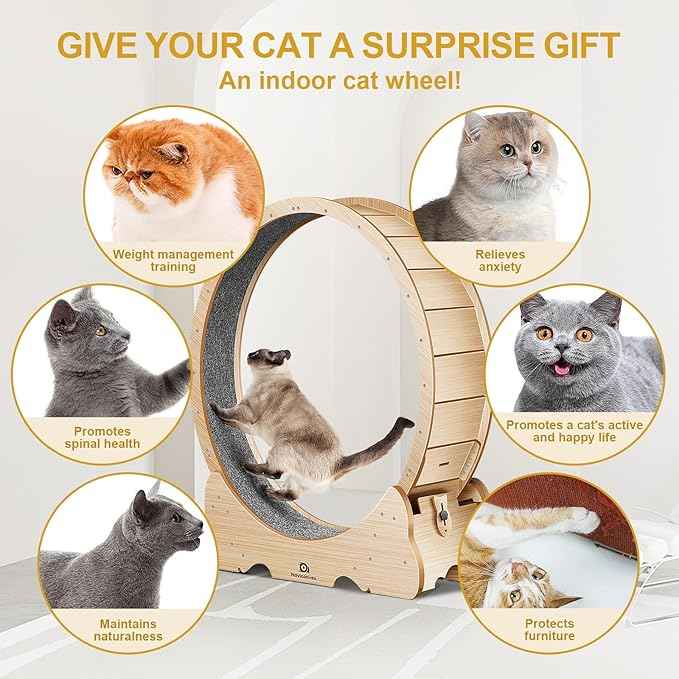 Cat Wheel, 53" XXL Large Cat Treadmill for Indoor Pets, Cats Exercise Running Wheel with Detachable Carpet, Quiet and Sturdy, Suitable for Most Cats Running/Walking/Training