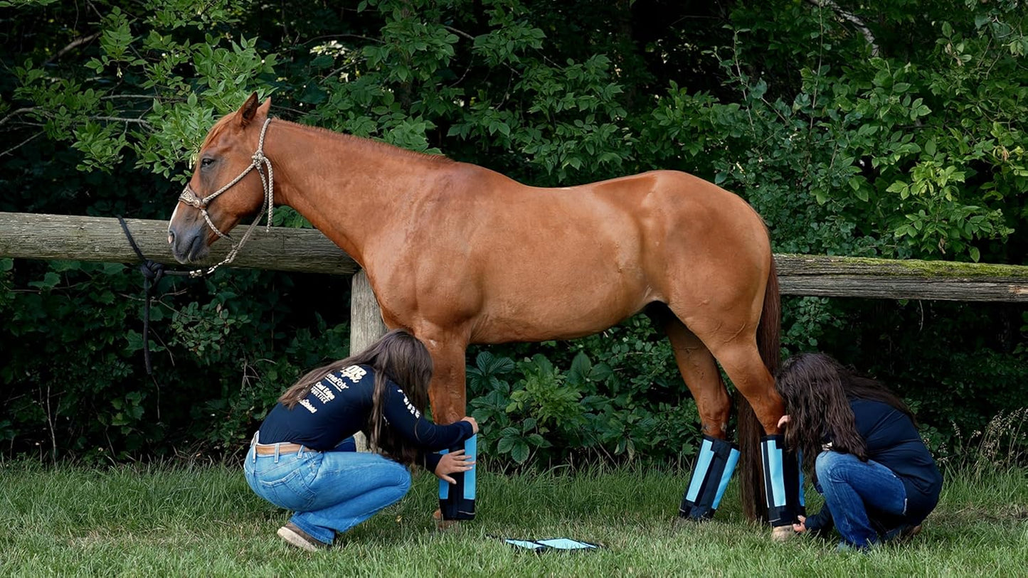 Warrior Fly Boots for Horses - Breathable Mesh Horse Boots for Fly Protection & Leg Comfort - Set of 4 (Trojan Warrior, Gray)