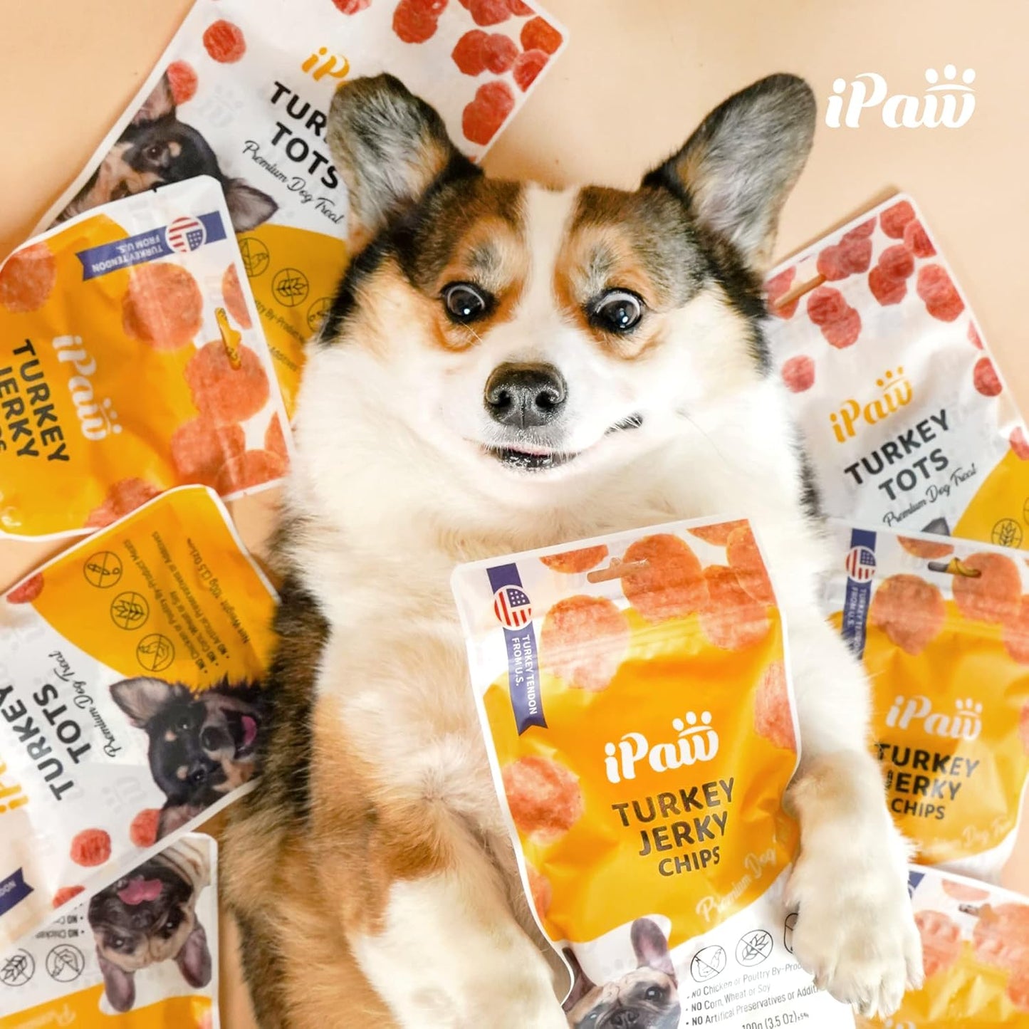iPaw Turkey Chips Dog Treats for Puppy Training, All Natural Human Grade Dog Treat, Ingredient Sourced from USA, Hypoallergenic, Easy to Digest (Turkey Chips), 3 Packs