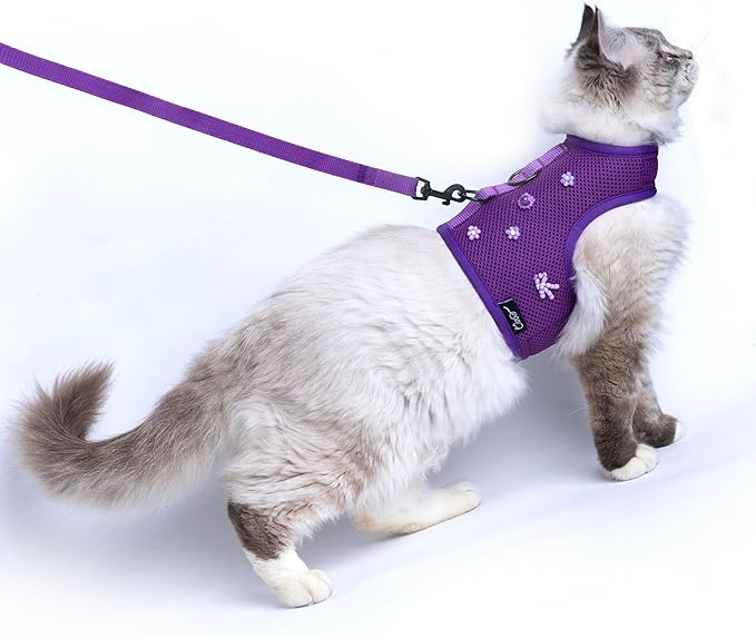 Cat Harness and Leash for Walking Escape Proof Breathable Mesh Fabric, Purple, XX-Large, Adjustable Cat Walking Jackets with DIY Beads, Padded Stylish Cat Vest