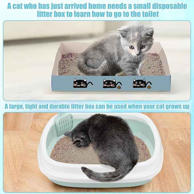 40 Pcs Kitten Starter Kit for Indoor Cats Include Litter Box, Carrier, Cat Bed, Climbing Post, Scratch Pad, Hammock, Feed Bowls, Mat, Collars, Nail File and More for Kitten Supplies Welcome Gift(Blue)