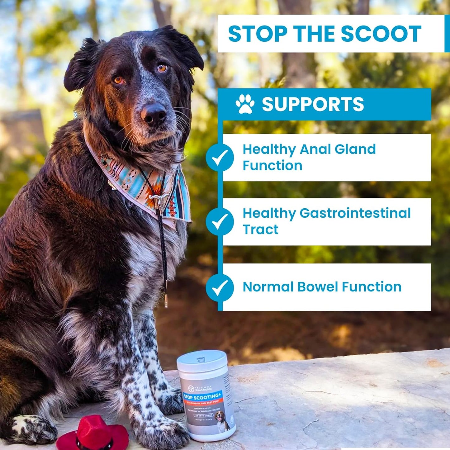 PawMedica Dog Anal Gland Chews to Stop Scoot for Dogs - Anal Gland Dog Constipation Relief - Recommended Dog AnalGland Support Chews Fiber - Fiber Supplement for Dogs (120 Dog Pumpkin Chews)
