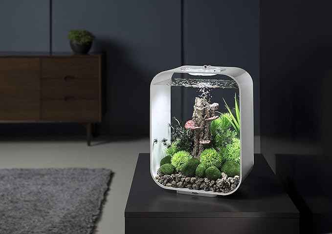 biOrb Life 15 Acrylic 4-Gallon Aquarium with White LED Lights Modern Compact Tank for Tabletop or Desktop Display, White