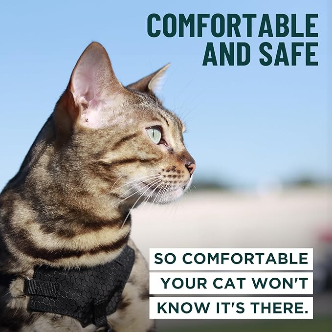 Houdini™ Escape Proof Kitten Harness and Leash Set by OutdoorBengal – Black, Small Cat Harness for Walking