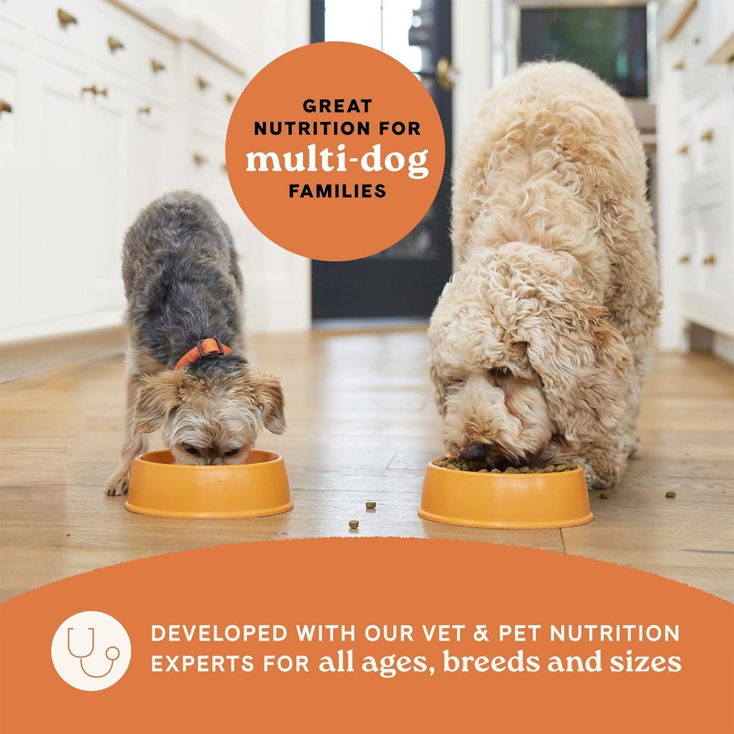 Canidae All Life Stages Real Chicken & Potato Recipe – High Protein and Grain-Free Premium Dry Dog Food for All Ages, Breeds, and Sizes– 4 lbs.