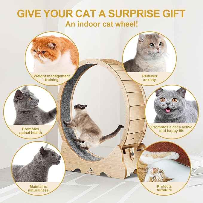 Cat Wheel, 43" L Large Cats Exercise Running Wheel, Cat Treadmill for Indoor Cats