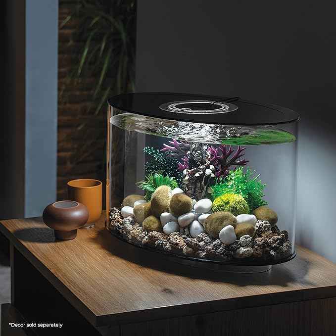 biOrb Loop 15 Acrylic 4-Gallon Aquarium with White LED Lights Modern Compact Tank for Tabletop or Desktop Display, Black-Trimmed Tank