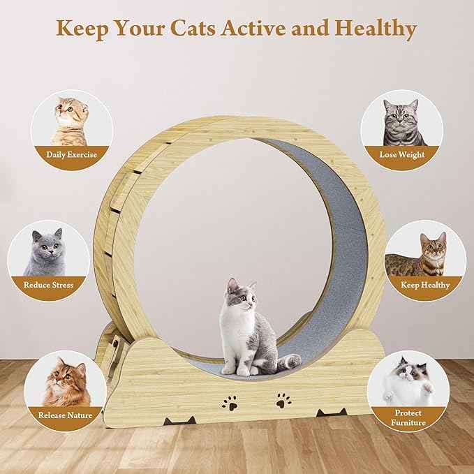 Cat Exercise Wheel, Quiet 34" Cat Treadmill for Indoor Cats, Running Wheel with Carpeted Runway & Safety Lock, Compact Design for Small & Adult Cats Weight Loss & Daily Exercise