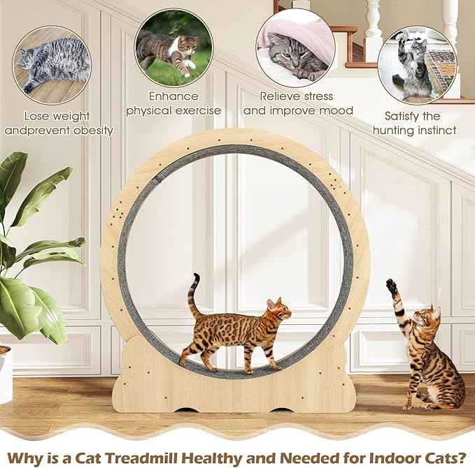 Tangkula Cat Wheel for Indoor Cats, 40 Inch Large Cat Exercise Wheel with Lockable Mechanism, Carpeted Runaway, Wooden Ultra Low Noise Running Treadmill with a Teaser Toy for Kitty Fitness