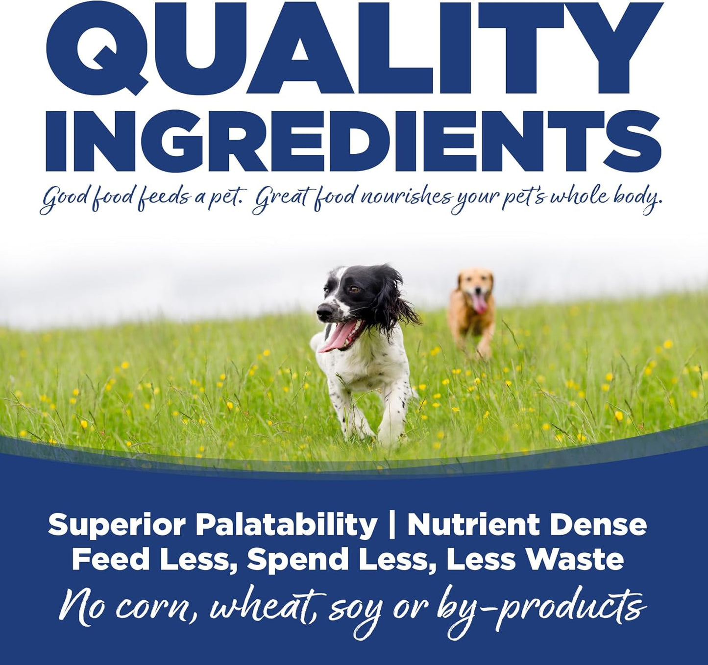 NutriSource Dry Dog Food, Trout and Rice, 12LB