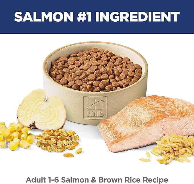 Hill's Science Diet Adult 1-6 Dry Cat Food, Salmon & Brown Rice, 15 lb. Bag