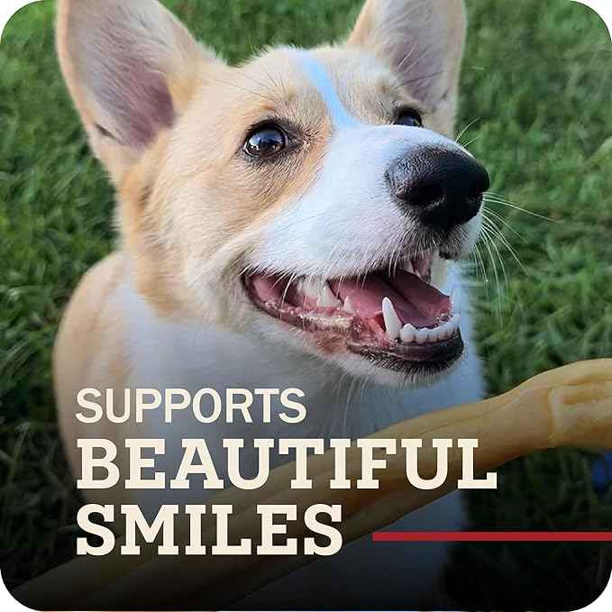 Redbarn Pet Products Natural Large Collagen Sticks for Dogs - Long Lasting Alternative to Traditional Rawhide & Bully - Supports Joint, Skin, & Coat Health - Case of 35