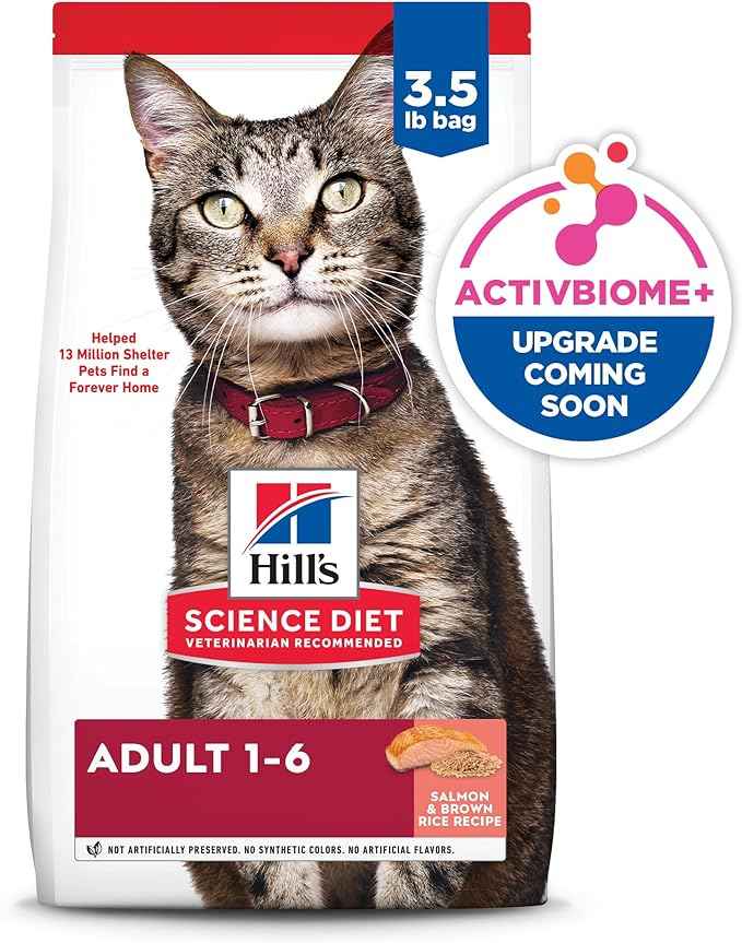 Hill's Science Diet Adult 1-6 Dry Cat Food, Salmon & Brown Rice, 3.5 lb. Bag