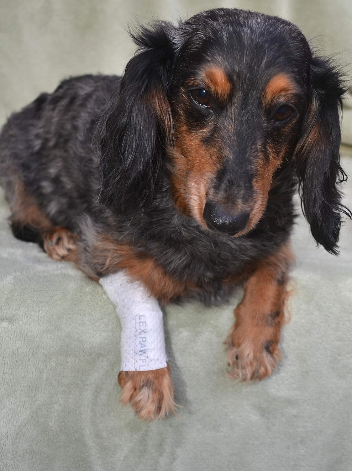Protective Sleeve Tubular Cover - Bandages - for Dogs Cats and Other Pets First Aid Wound Care Comfortable Non-Adhesive Breathable & Water Resistant 12 Strips (yields 24-36 Covers)-(Large)