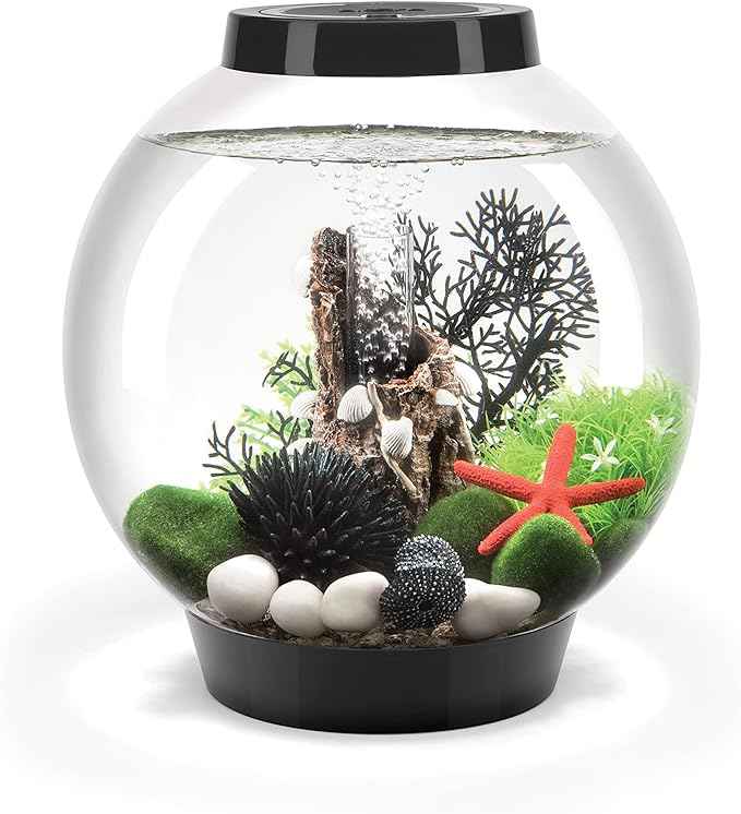 biOrb Classic 15 Acrylic 4-Gallon Aquarium with White LED Lights Modern Compact Tank for Tabletop or Desktop Display, Black-Trimmed Tank