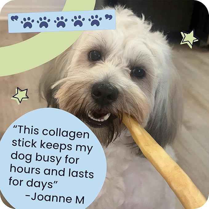 Pawstruck All Natural 11-12" Roasted Collagen Sticks for Dogs – Low Odor & Long-Lasting Bully Stick & Rawhide Alternative, Single Ingredient, Vet Approved – 5 Pack