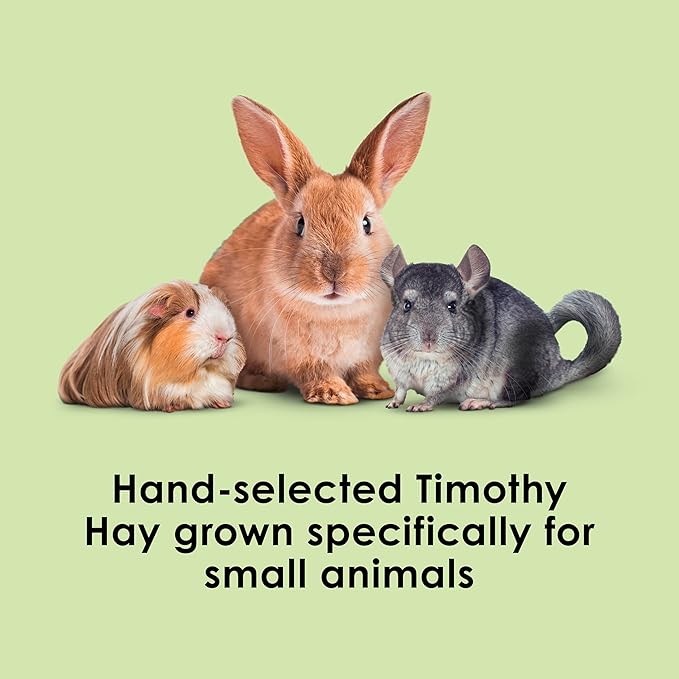 Kaytee Wafer Cut All Natural Timothy Hay for Pet Guinea Pigs, Rabbits & Other Small Animals, 60 Ounce