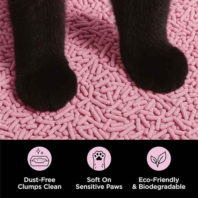 Natural Tofu Cat Litter, Fast Clumping and Scoops Easy, Dust-Free, Low Tracking, Quick Drying & Odor Control, Eco-Friendly Plant-Based Cat Litter 5.5lb/88oz – Cherry Blossom (1 Pack)