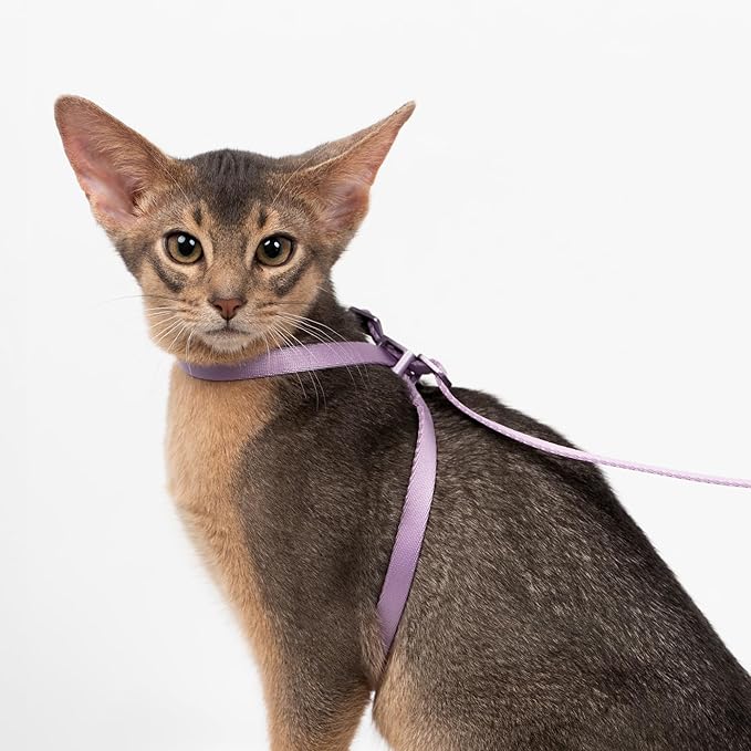 Cat Harness Escape-Proof Anti-Choking Adjustable Nylon Harness Lightweight with Anodized Aluminum Buckle, Ideal for Cats Outdoor Walking and Training, IDA Award (Space Gray, M (17.7"))