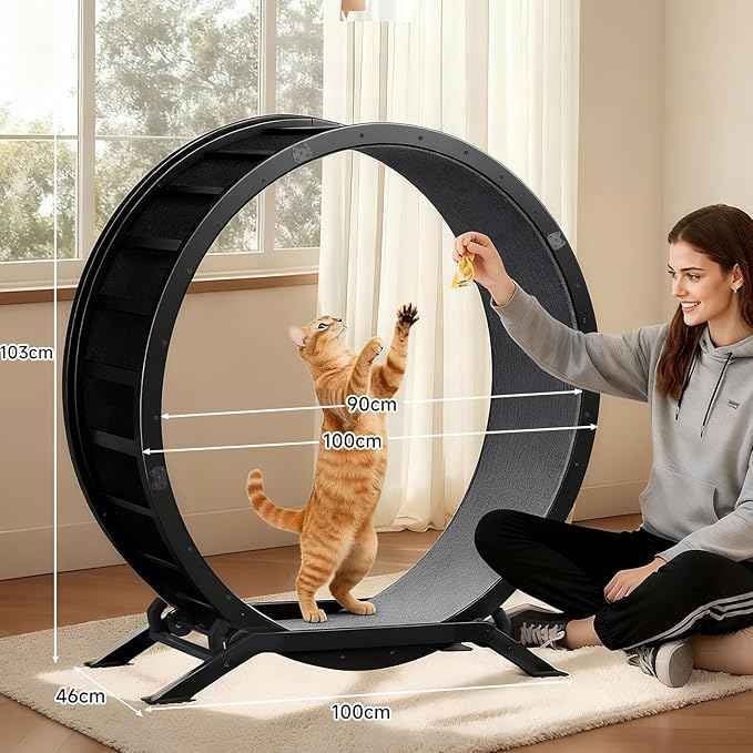 GTPLAYER Cat Wheels, Large Cat Exercise Wheel for Indoor Cats, 40"Diameter cat treadmill Detachable Carpet & Teaser, stickers, Ultra-quiet scroll wheel With latch, Suitable for Most Cats, Metal, Gray