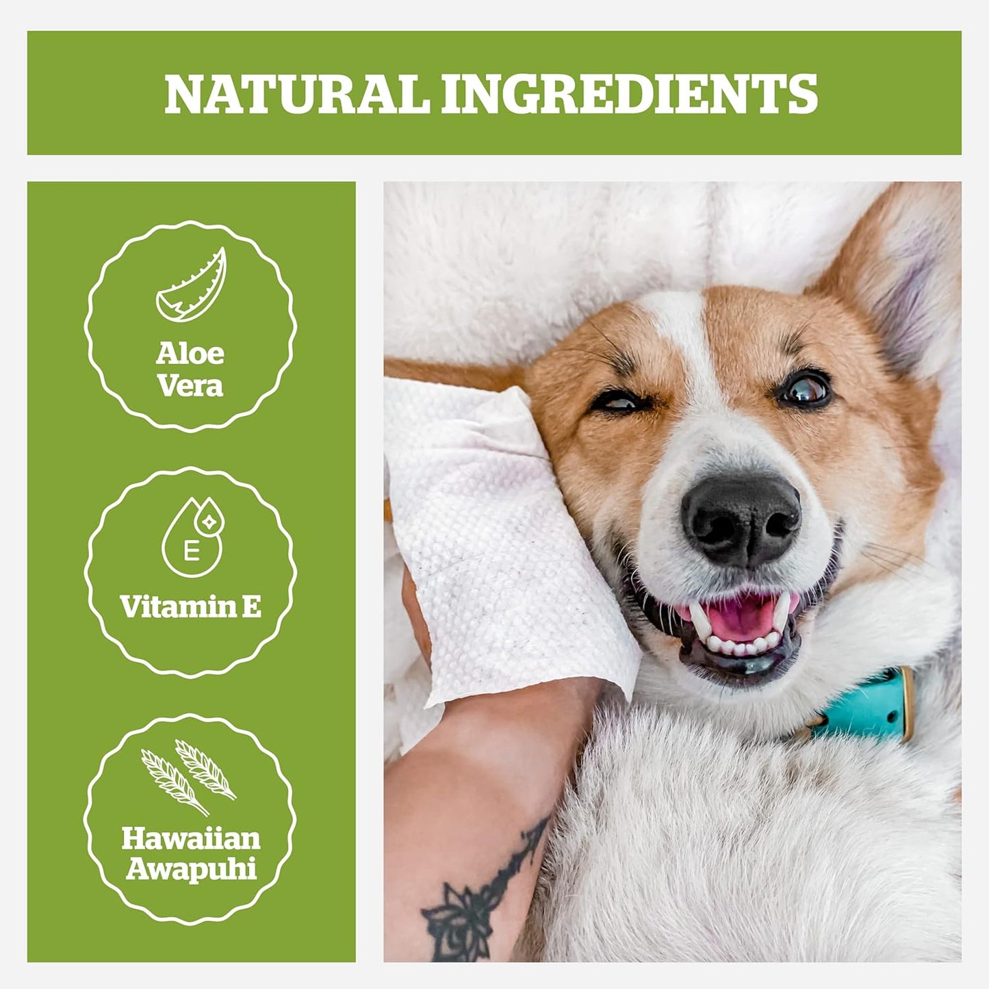 Pogi’s Dog Grooming Wipes – Hypoallergenic Pet Wipes for Paws, Body & Butt – Cleaning & Hydrating, Green Tea Scent, 400-Count
