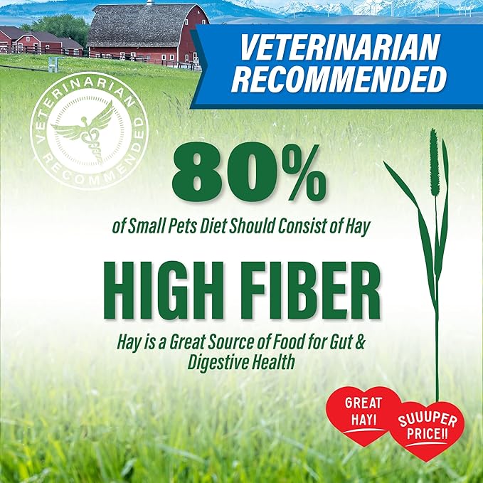 Small Pet Select Value Choice Timothy Hay for Rabbit, Guinea Pig, Bunny, Chinchilla and Other Small Animals, Premium Natural Hay Grown in The US, Pet Food, 8lb