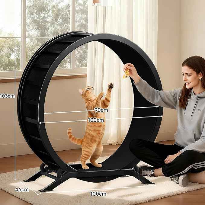 GTPLAYER Cat Wheels, Large Cat Exercise Wheel for Indoor Cats, 40"Diameter cat treadmill Detachable Carpet & Teaser, stickers, Ultra-quiet scroll wheel With latch, Suitable for Most Cats, Metal, Black