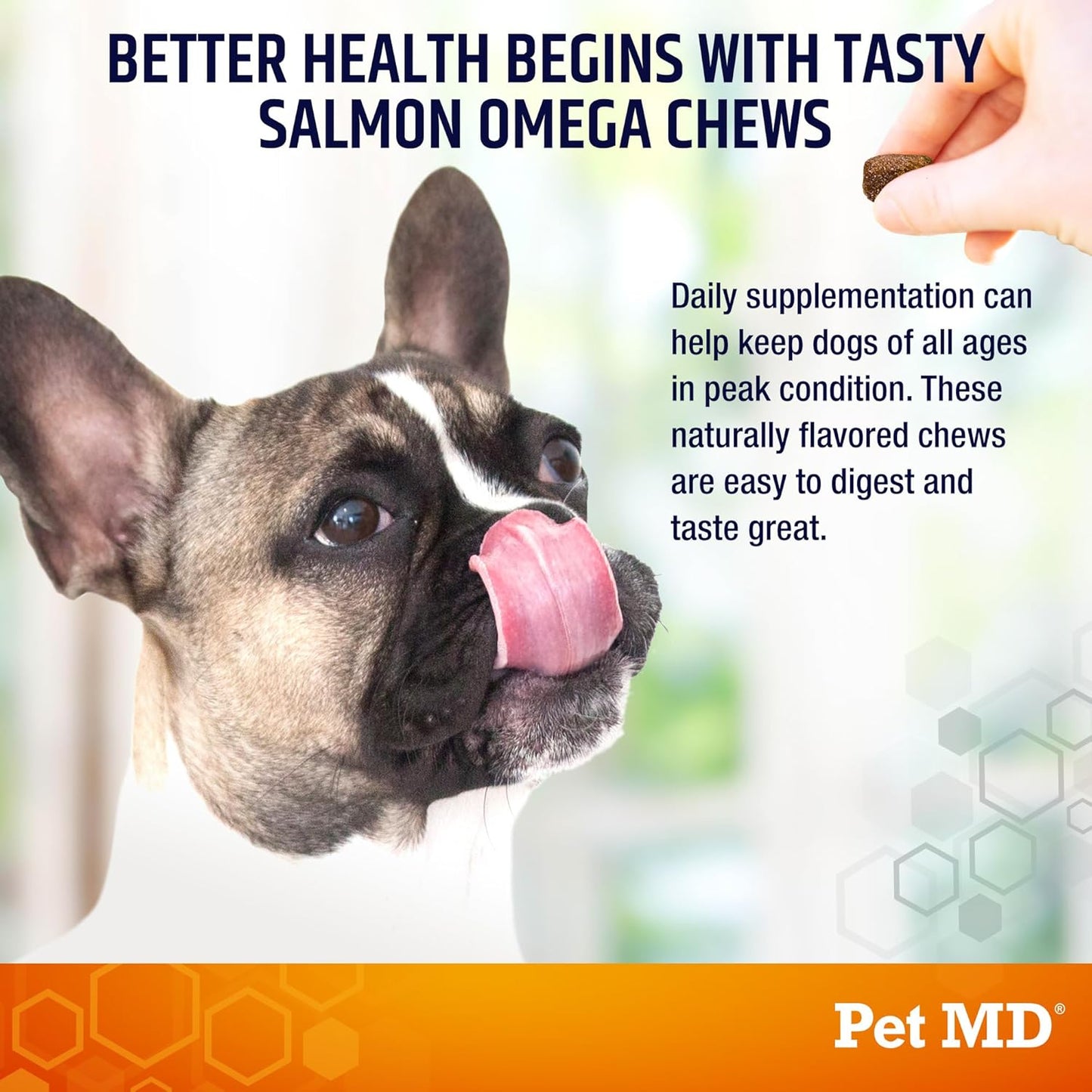 Pet MD Salmon Omega Bites for Dogs - Skin and Coat Supplement with Omega 3 & 6 for Dogs Plus DHA & EPA - Promotes Allergy & Dry Skin Relief - 60ct