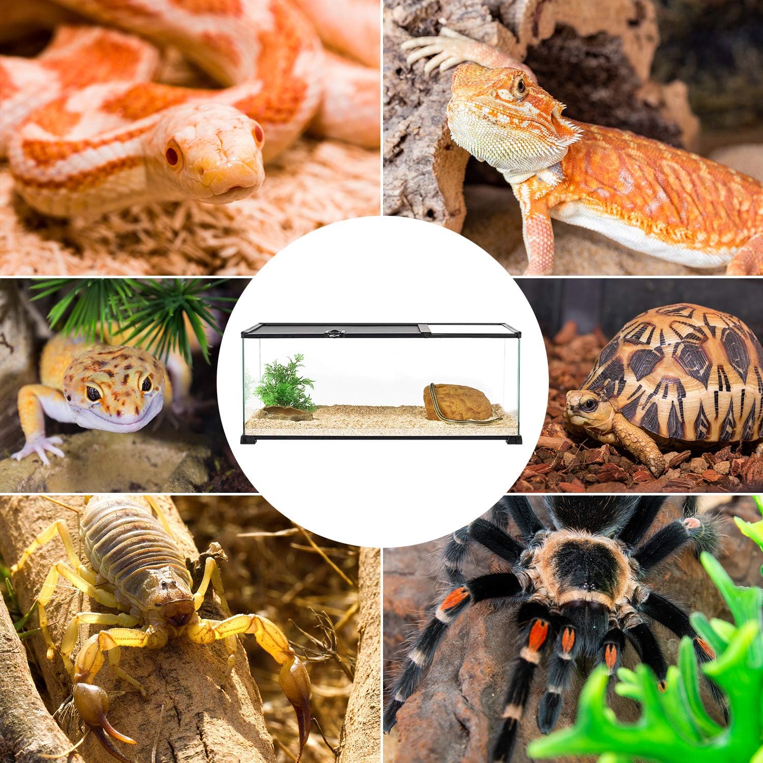 REPTI ZOO 20 Gallon Reptile Glass Terrarium Easy Clean Tank 30" x 12" x 12" Dual Top Sliding Top Cover for Reptile Snake Hamster Hedgehog Small Animals (Knock-Down) - FurryFun