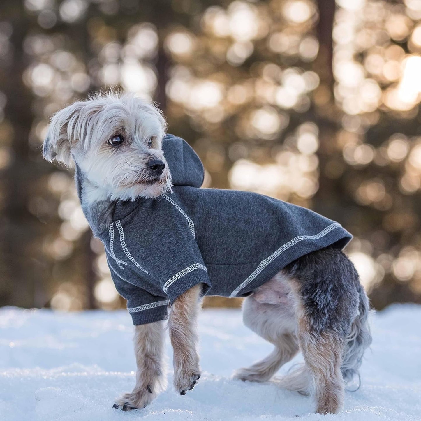 Blueberry Pet Essentials Dog Hoodie – 14 inch, Cotton‑Blend Sweatshirt with Hood, Charcoal Grey, Machine‑Washable Small‑Dog Jersey