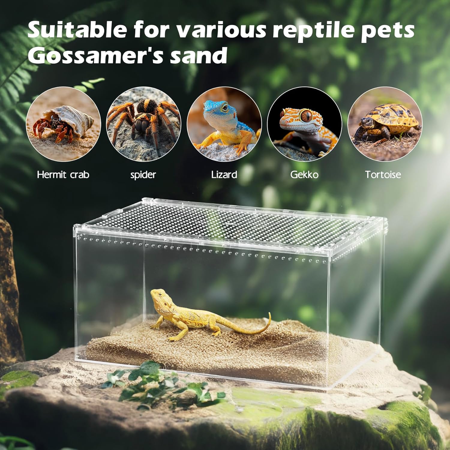AZV Reptile Terrarium Tank,Versatile Enclosure for Leopard Crested Gecko,Lizard Cage,Spider Starter Kit,Hermit Crab Habitat,Tarantula Cribs,Perfect Aquarium for Snake,Frogs,Snails,Insects,Small Pets - FurryFun