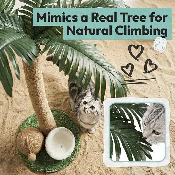 Cat Scratching Post 33 Inch Palm Tree with Hanging Balls and Double Coconut Toys, Cat Scratcher for Indoor Kittens, Extra Stable Base, Paw-Friendly Jute Material M