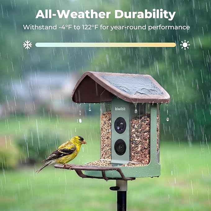 Solar Smart Bird Feeder with Camera - No Subscription, AI Bird Identification Included, 4K HD Live Video & 8MP Photos, Wireless Outdoor Wild Bird Watching Gifts for Bird Lovers, Brown