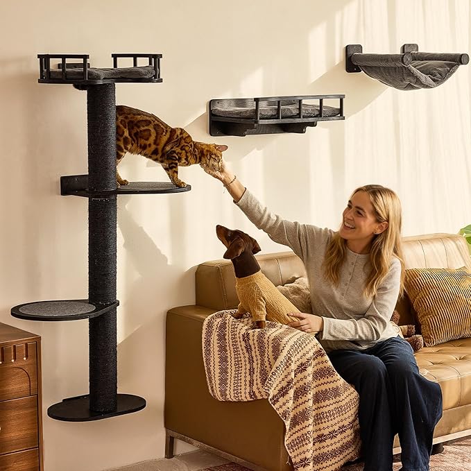 FUKUMARU Cat Wall Shelves, 4 in 1 Stable Wooden Wall-Mounted Furniture Set, Climbing Tree with Hammock, Bed, Perch and Scratching Mat (Black)