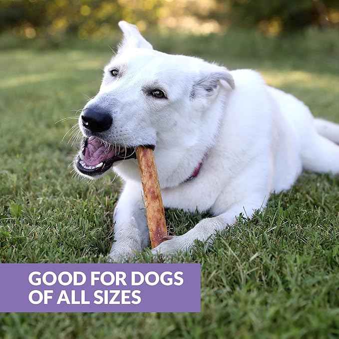 Wild Eats Collagen Chews - Stick Dog Treat for Medium & Large Dogs (10" 3ct, Real Duck) - Long Lasting, Rawhide Free, Low Fat, Grain Free Retriever Rolls