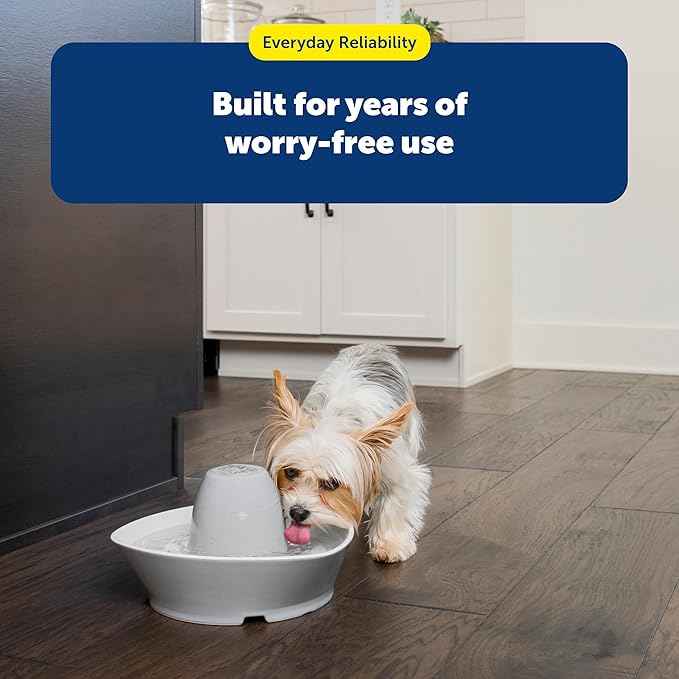 PetSafe Ceramic Pet Fountain – for Cats and Small Dogs – 60 Oz Water Capacity – Whisper-Quiet Water Flow – Great for Shy or Timid Pets – Fresh, Filtered Water