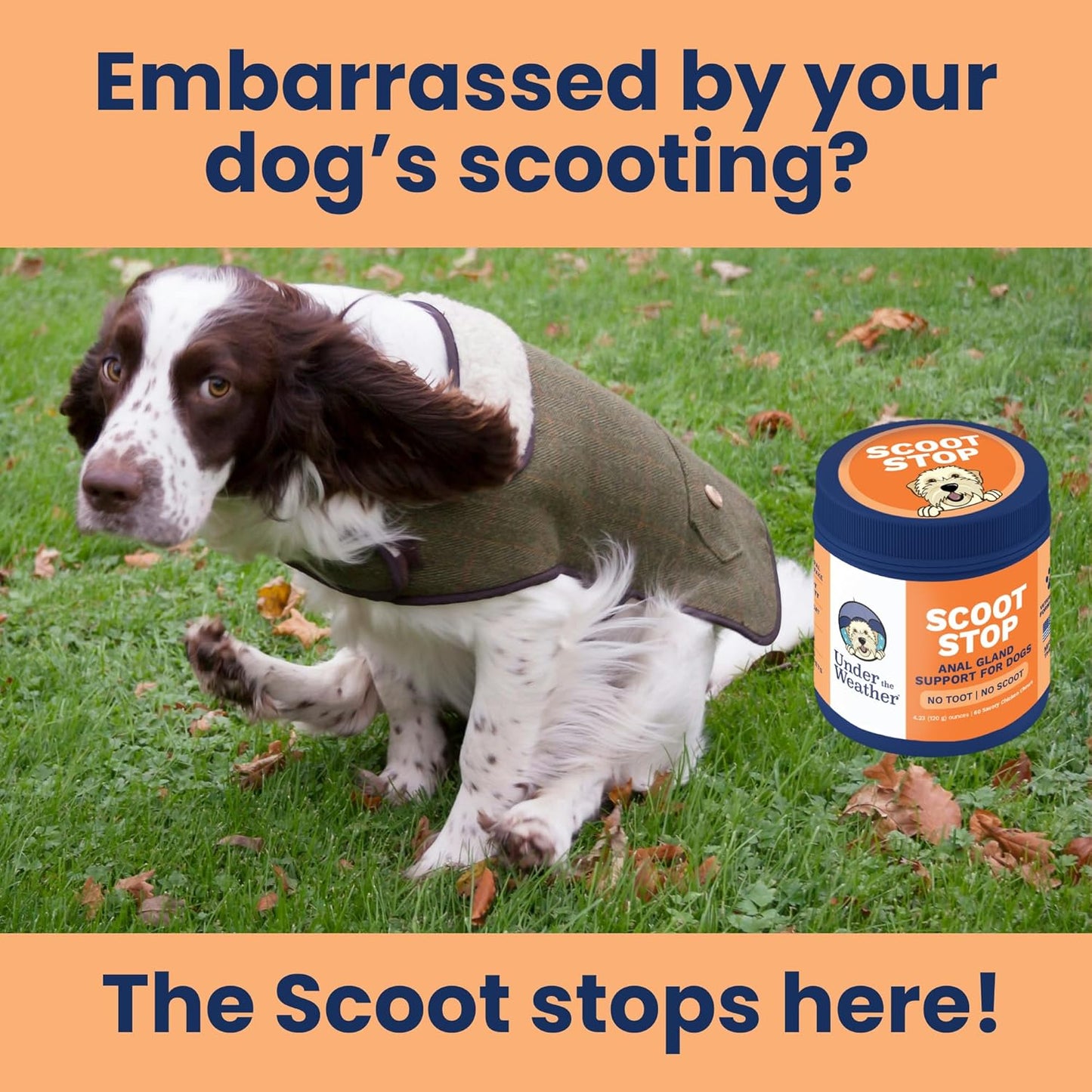 Under the Weather Scoot Stop Chews for Dogs | Vet Formulated No-Scoot for Dogs Supplement | Digestive & Anal Gland Support Support for All Breeds | 60 Count