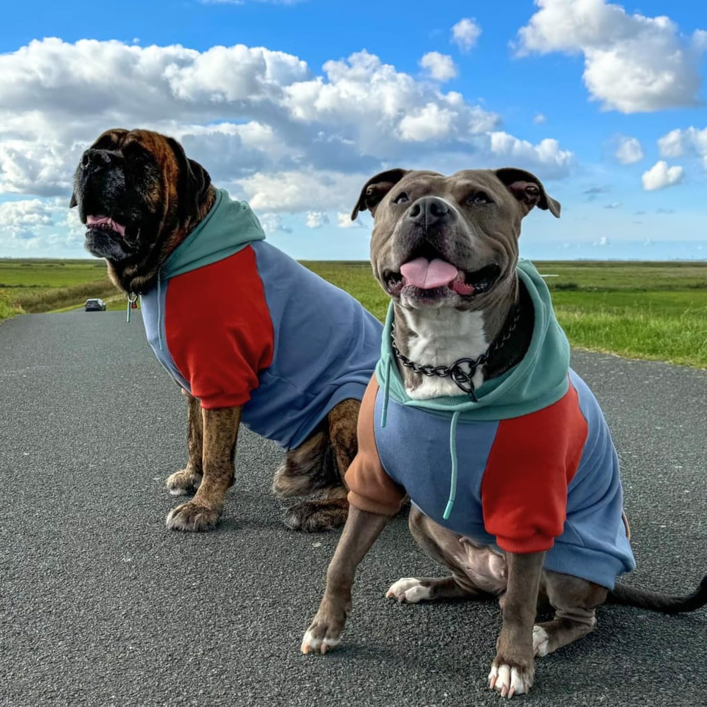 Spark Paws Dog Hoodie – Premium Dog Sweater for Small, Medium, and Large Dogs | Warm Outfits for French Bulldogs, Pitbull, Puppy, Winter Jacket Alternative - Alpine - L