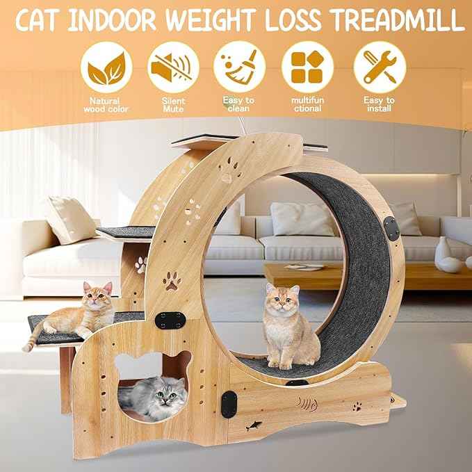 Cat Wheel 6-in-1 Upgraded Exercise Wheel for Indoor Cats: Large Treadmill with Silent Running Wheel, Perfect Cat Furniture & Toy for Endless Fun & Fitness