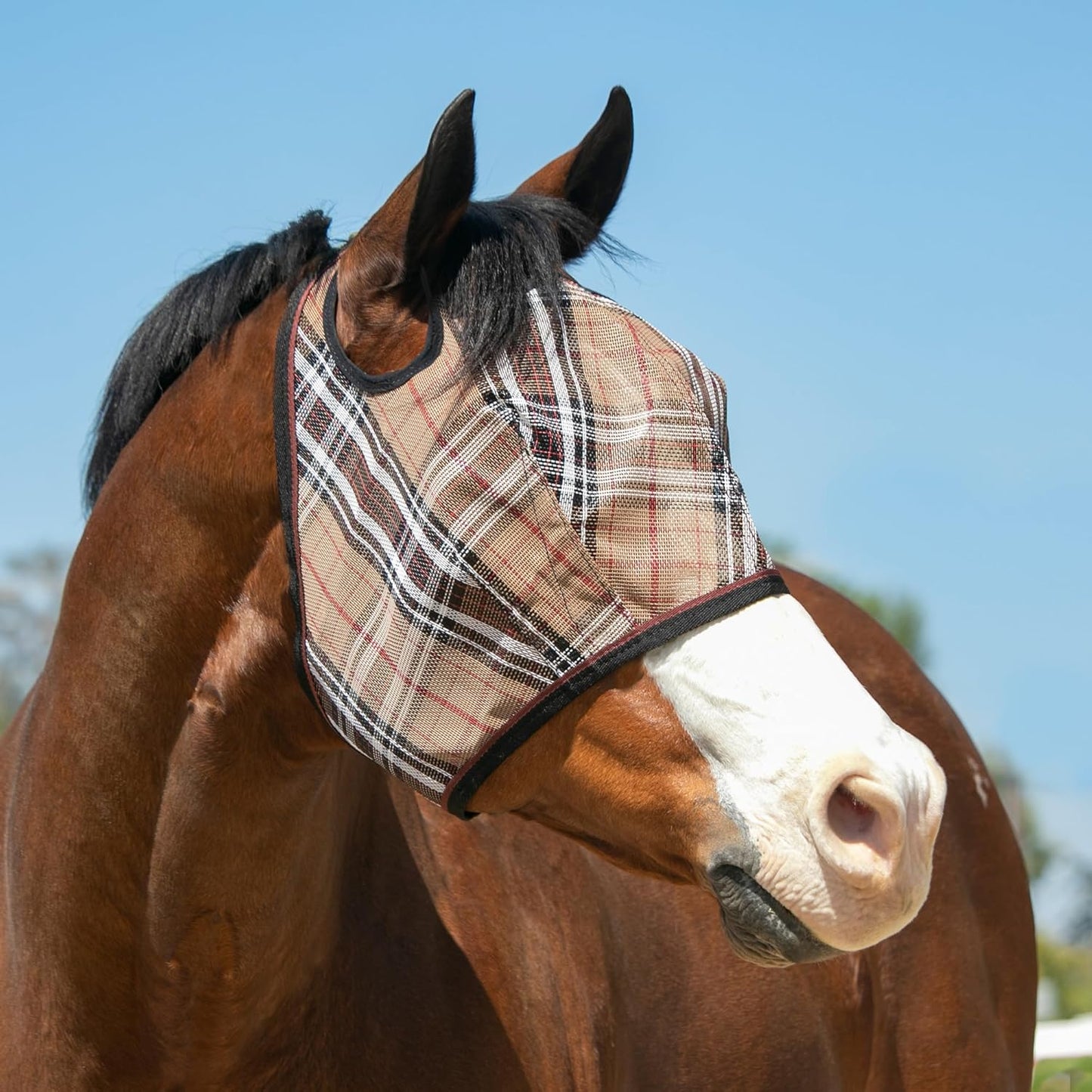 Kensington UV Horse Fly Mask with Web Trim - Protective Mask with Dual Ear Opening & Forelock Freedom - XLarge, Deluxe Black